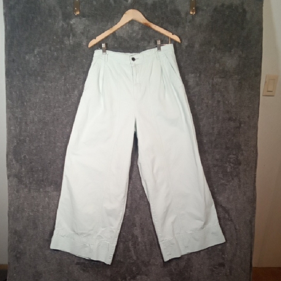Everlane Mint Green Wide Leg High Waisted Pleated Womens Pants (Flawed) Size 10 - Picture 1 of 13